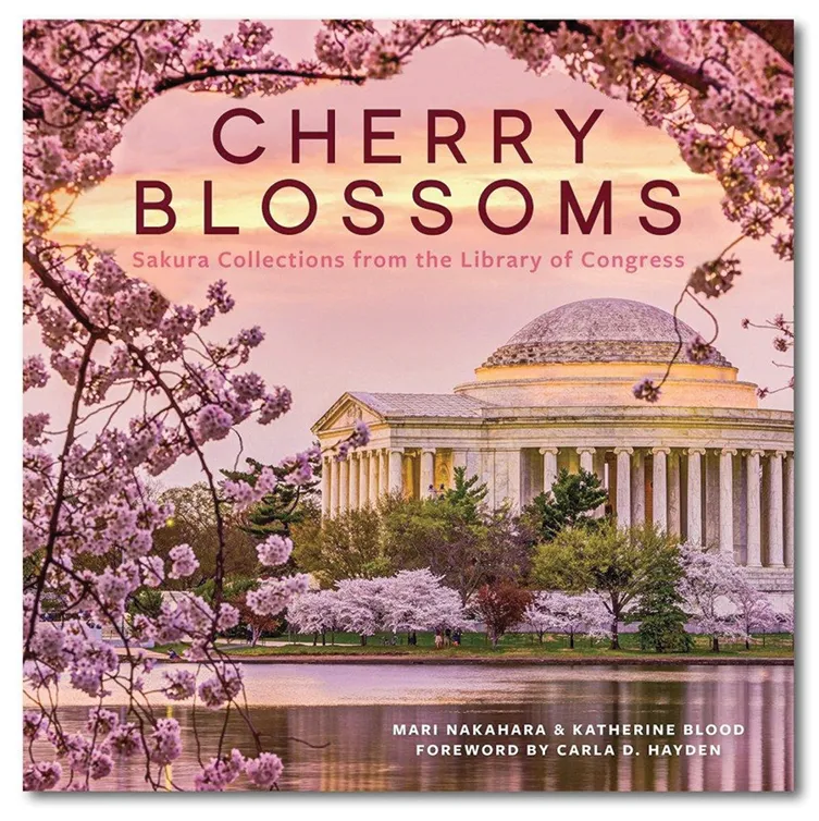 ‘Cherry Blossoms’